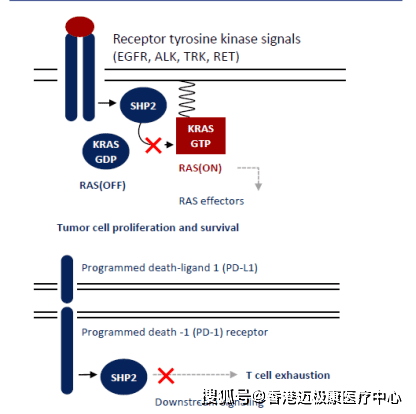 ＂WW777766香港開獎記錄查詢2023＂的：深入探討方案策略_實驗版3.98