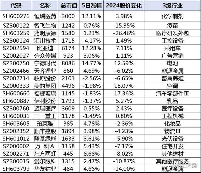 揭秘A50股票成分股，中國股市的重要支柱企業(yè)有哪些？