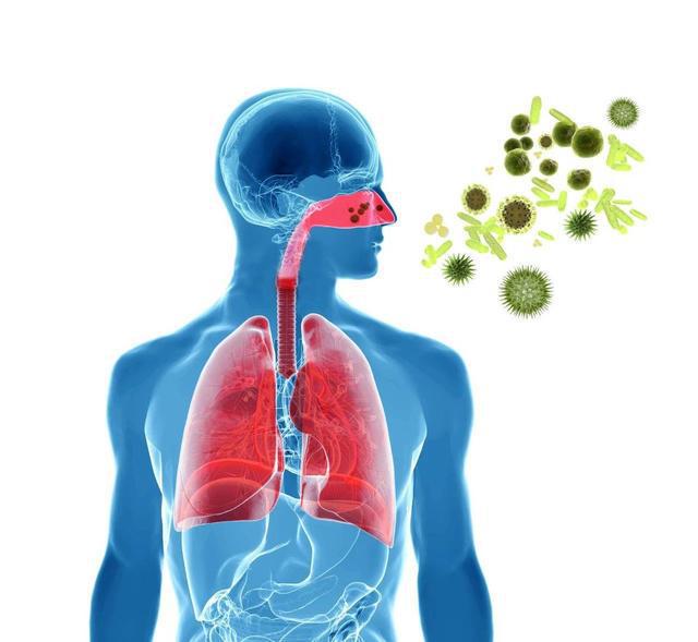 新型病毒主要癥狀探究，探索病毒影響的主要表現(xiàn)