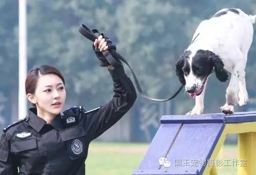 警花與警犬，鐵血柔情演繹真實(shí)警魂的演員們