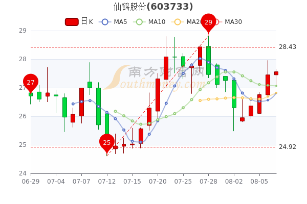 仙鶴股份股票行情，小巷深處的投資寶藏揭秘